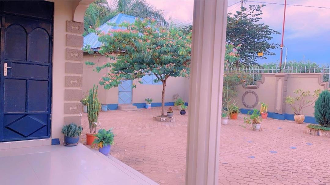 Boma la Ngombe Evelina House 호스텔 외부 사진
